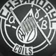 Chernobyl Coils RBMK 0.45ohm (Pack 2)