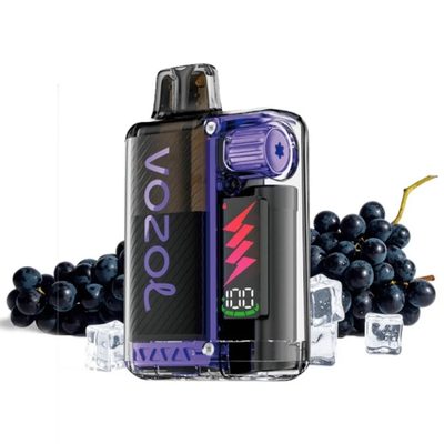 Vozol Vista Plug Grape Ice 2+10ml Kit 20mg