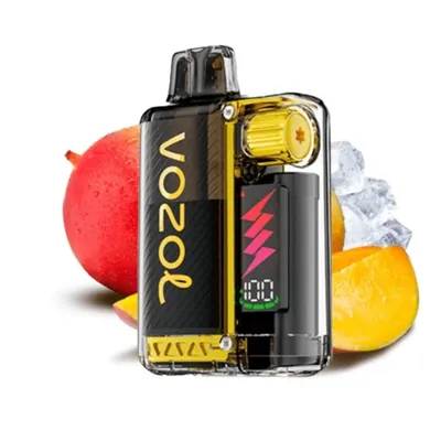 Vozol Vista Plug Mango Ice 2+10ml Kit 20mg