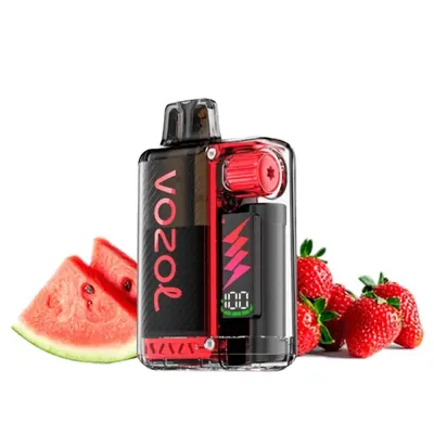 Vozol Vista Plug Strawberry Watermelon 2+10ml Kit 20mg