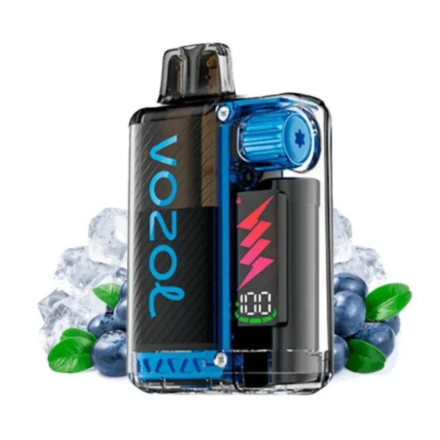 Vozol Vista Plug Blueberry Ice 2+10ml Kit 20mg