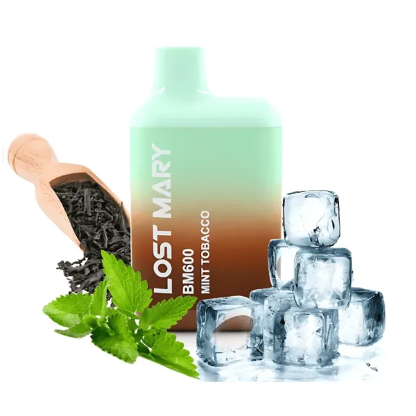 Lost Mary BM600 Mint Tobacco